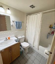 ✔️ROOM FOR RENT IN DOWNTOWN TORONTO | YONGE ST & DUNDAS ST - Photo 8
