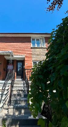 Downtown! Very bright! really spacious! one bedroom unit rent