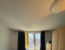 Downtown! Very bright! really spacious! one bedroom unit rent - Photo 2