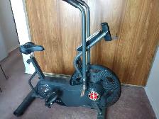 Excercise Bike:  Schwinn Airdyne AD6