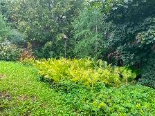 Apartment for Rent - Private, clean, central location - Photo 10