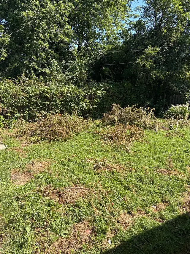 garden help. 20/-$. Scarboro