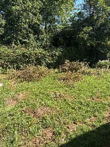 garden help. 20/-$. Scarboro