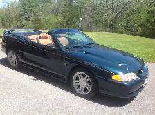Mustang GT 4.6 - Photo 2