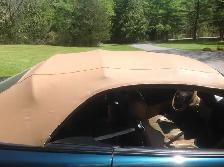Mustang GT 4.6 - Photo 7