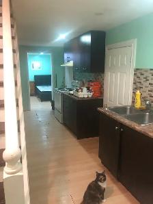 1-bedroom basement apartment for rent