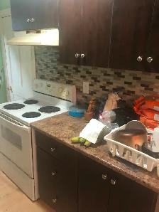 1-bedroom basement apartment for rent - Photo 6