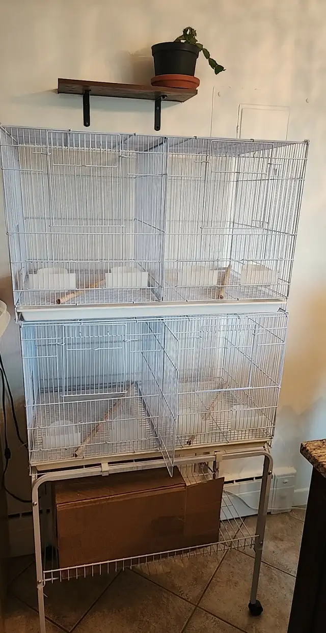 POUR PINSONS OU PLUS GROS OISEAUX