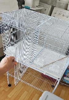 POUR PINSONS OU PLUS GROS OISEAUX - Photo 8