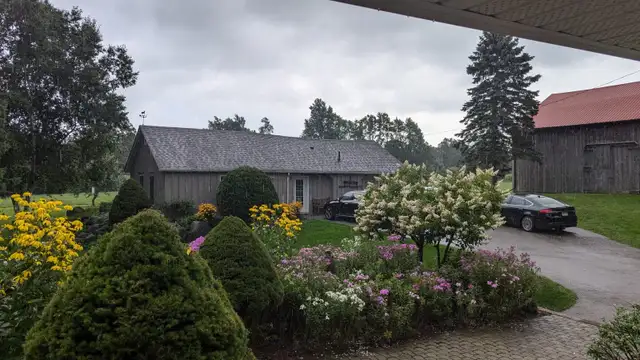 Furnished studio apartment on beautiful, private estate