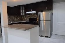 2-Bed Basement Apart in Brampton (Mount Pleasant Area) for rent