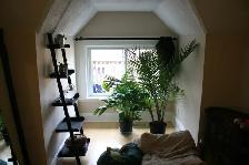 Charming 2BR Victorian Top Floor – Bright & Updated - Photo 6
