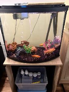 Belle Aquarium à vendre avec tous les accessoires!