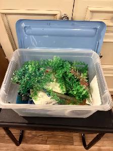 Belle Aquarium à vendre avec tous les accessoires! - Photo 6