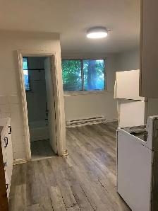 4/2 dans le coeur de Rosemont / La Petite Patrie - Photo 11
