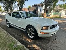2006 Ford Mustang - Photo 5