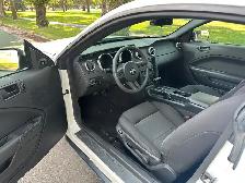 2006 Ford Mustang - Photo 6