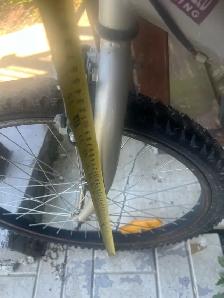 Bicycle $50