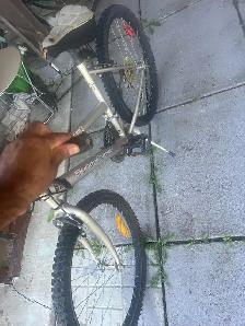 Bicycle $50 - Photo 4