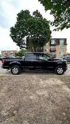 2016 Ford F-150 XLT 4x4 - Photo 7