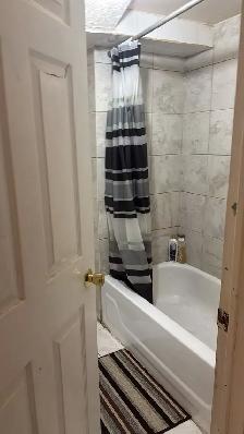 one room in basement for female near heartland - Photo 3