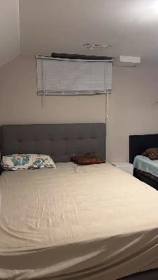 one room in basement for female near heartland - Photo 5