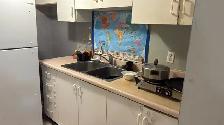 one room in basement for female near heartland - Photo 6