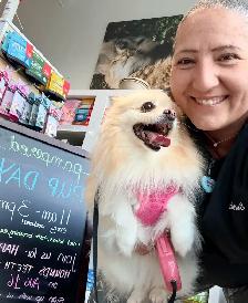 dog grooming & dog walking service - Photo 2