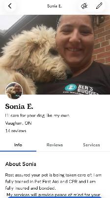 dog grooming & dog walking service - Photo 8