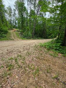 1.5 acre building lot for Sale at a lake - Photo 2