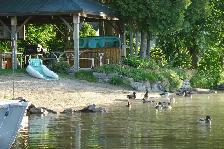 Fall, Winter & Spring Cottage Rental - Photo 3