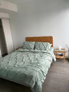 Resisential & Airbnb Cleaning Services - Toronto / GTA - Photo 3
