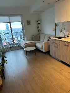Resisential & Airbnb Cleaning Services - Toronto / GTA - Photo 4