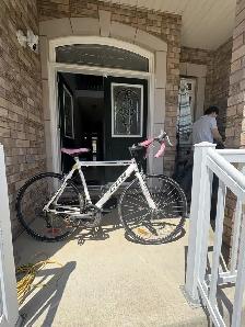 A bike for Adult , only $90
