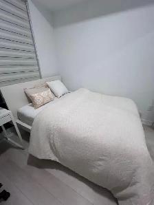 1b1b Sublet Toronto