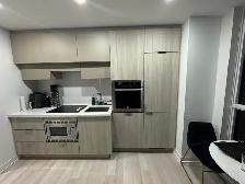 1b1b Sublet Toronto - Photo 3