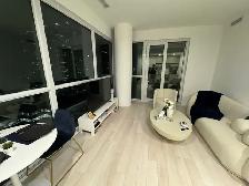 1b1b Sublet Toronto - Photo 7
