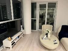 1b1b Sublet Toronto - Photo 9