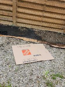 Affordable Garden and Lawn care - Photo 4