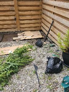 Affordable Garden and Lawn care - Photo 5