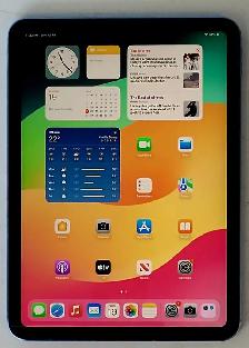 64GB 10th Gen Apple IPad LTE (32229997)