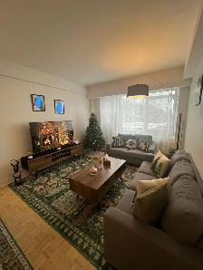 Sofa New