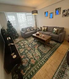 Sofa New - Photo 2