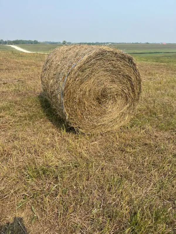 hay bales for sale 4x5