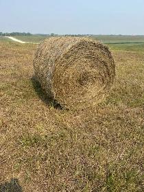 hay bales for sale 4x5