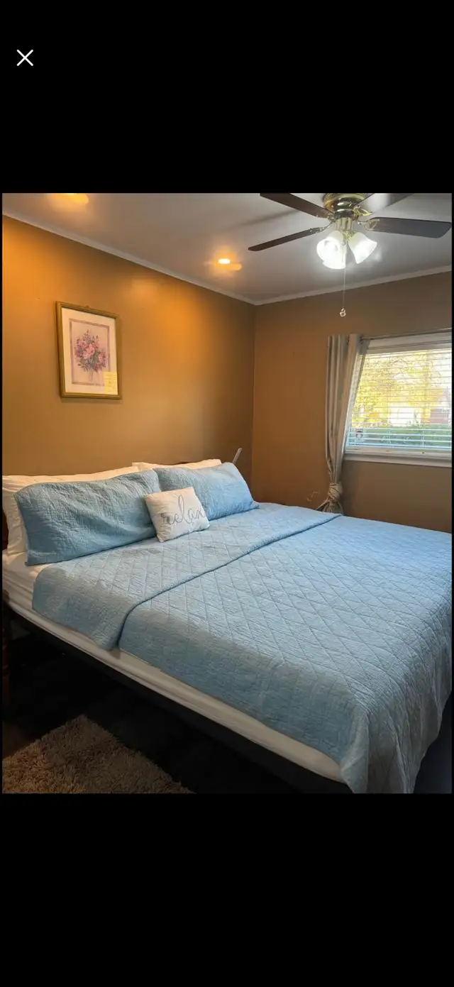basement for rent