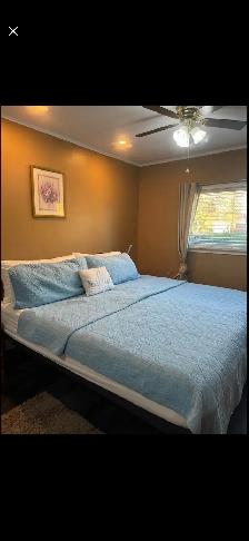 basement for rent