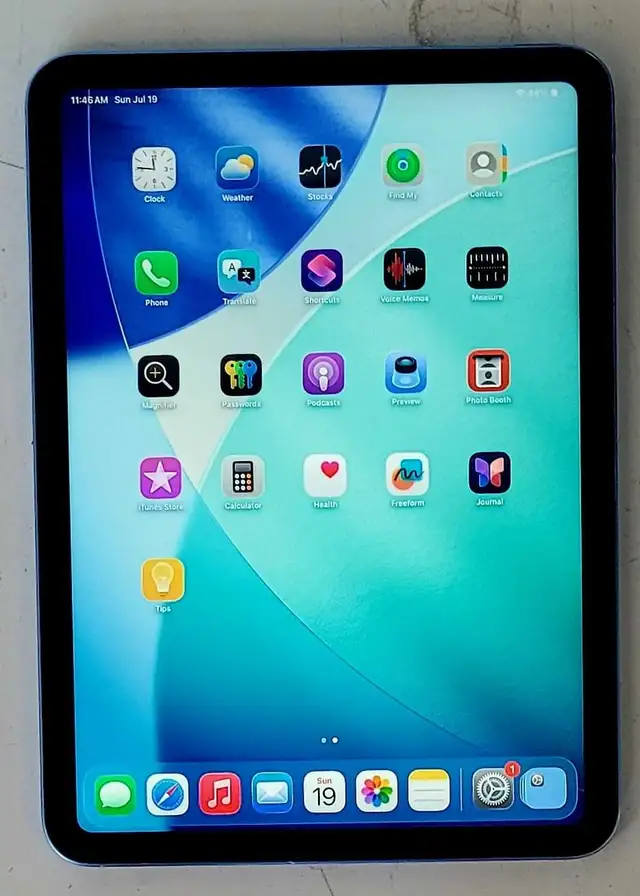 64GB 10th Gen Apple IPad (32508569)