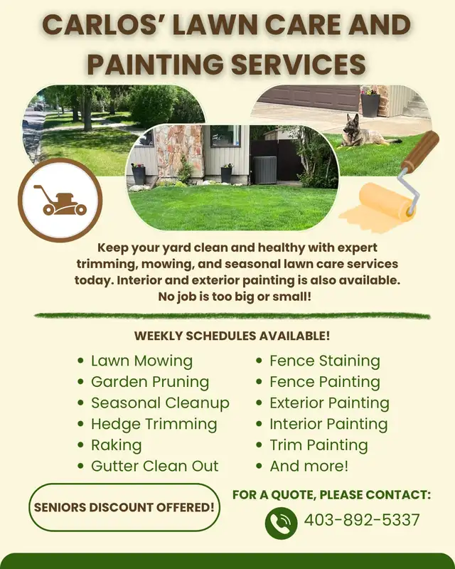 Lawn care and trimming etc.