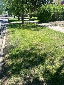 Lawn care and trimming etc. - Photo 2